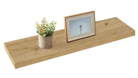 Minimalistyczna półka wisząca Koi II z doniczką i ramką na zdjęcia na białym tle.